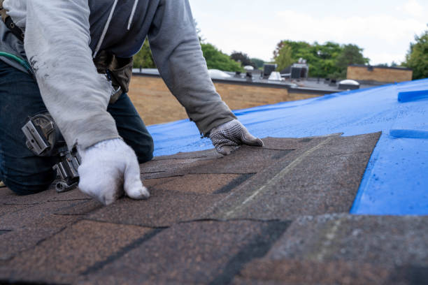 Best Flat Roof Repair Services  in Crystal Lawns, IL