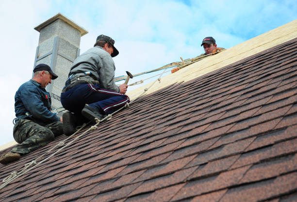 Best New Roof Installation  in Crystal Lawns, IL